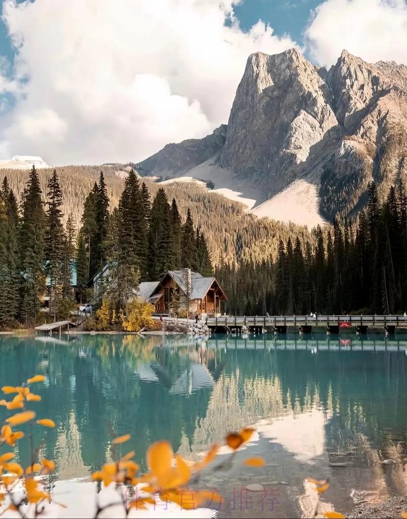 2026美加墨世界杯高清直播最新 2026美加墨世界杯高清直播最新